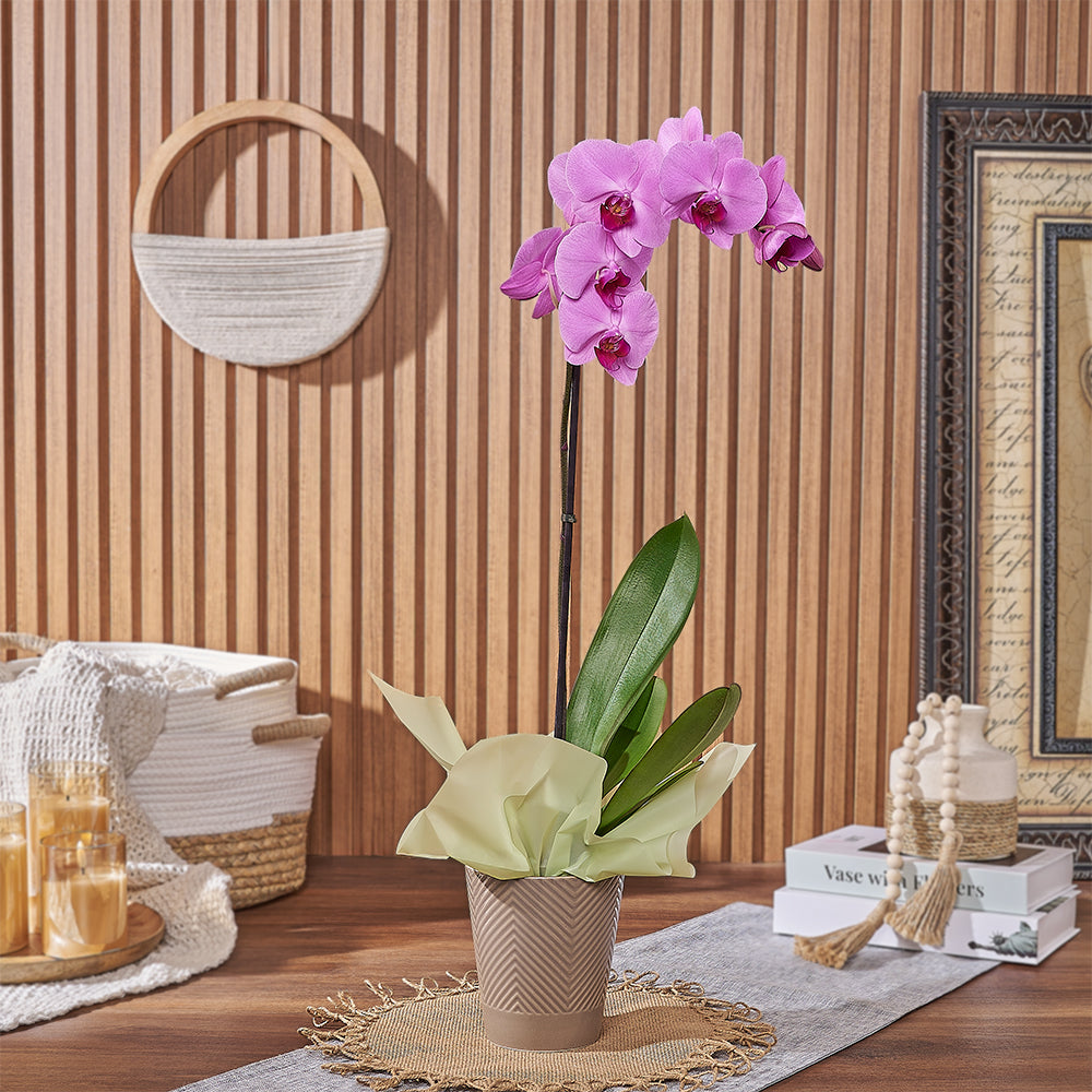 Pink Orchid Ceramic Pot Plant – how the gift is presented