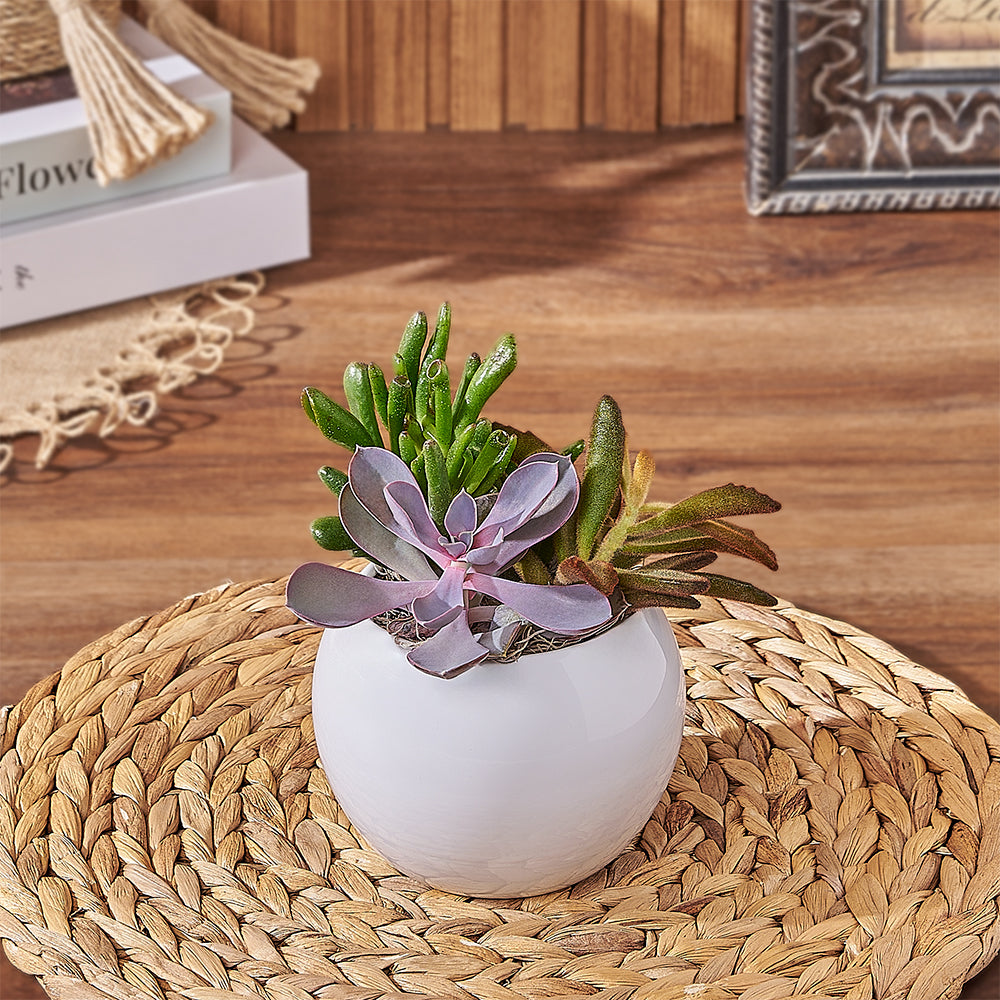 4-Inch Round Succulent Plant – how the gift is presented
