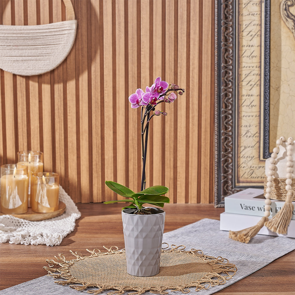 Pink Orchid with Ceramic Pot – how the gift is presented
