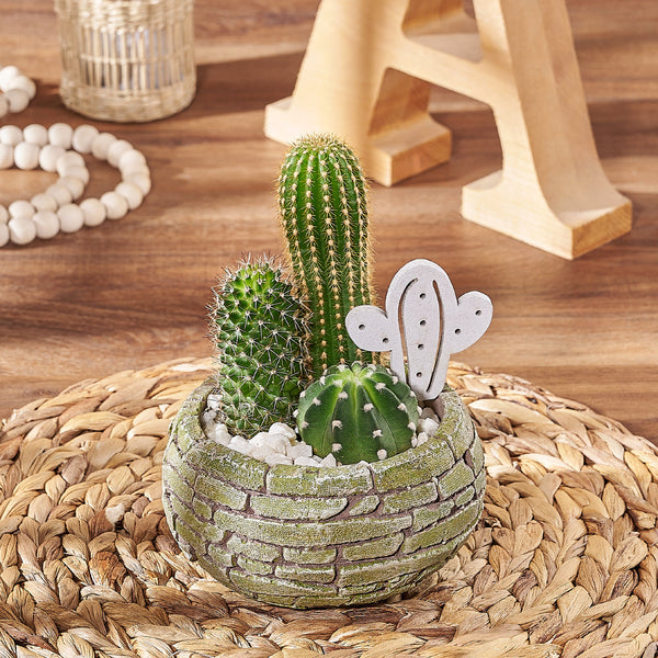 3-Piece Cactus Plant Set with Brick Style Planter – the plant