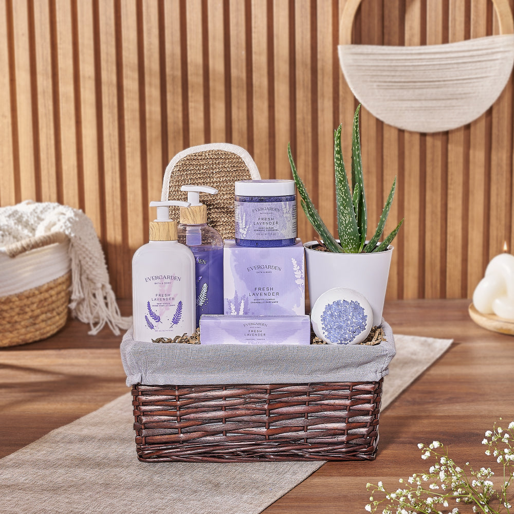 Natural Beauty Succulent &amp; Spa Gift Set from Rhode Island Baskets - Spa Gift Basket - Rhode Island Delivery