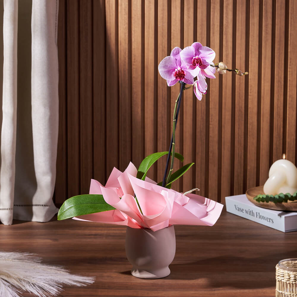 Potted Orchid Plant – how the gift is presented